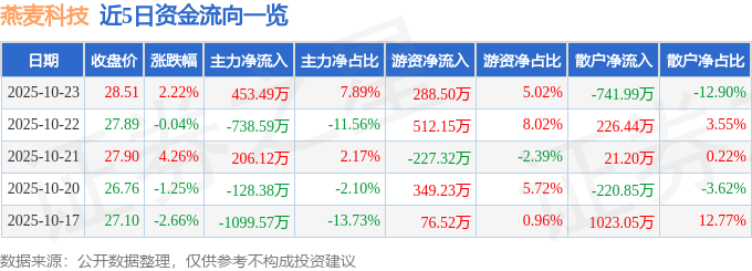 燕麦科技（688312）10月23日主力资金净买入453.49万元
