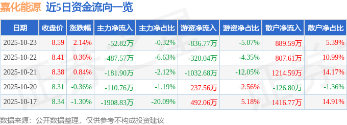 嘉化能源（600273）10月23日主力资金净卖出52.82万元