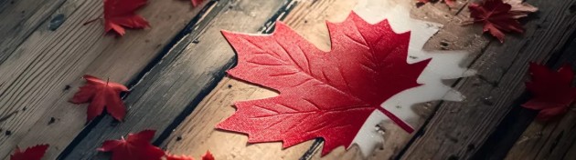 外联出国：加拿大税务局正严查“海外资产”，这些误区很多人还不知道！仅 1 次补救机会！