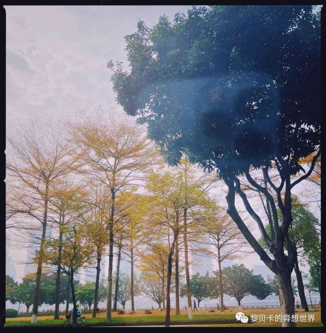 小红书穿衣服搭配图片