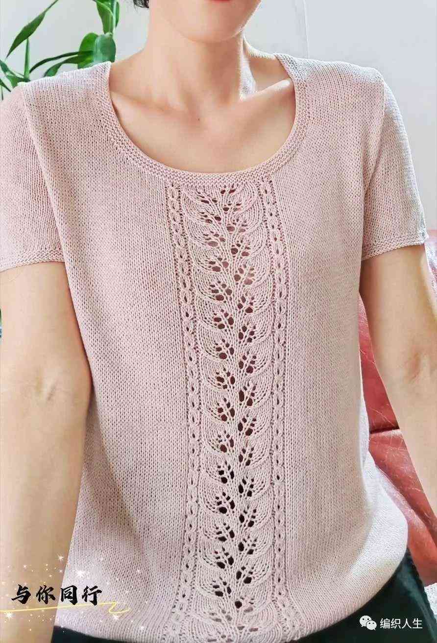 女士体恤衫短袖新款