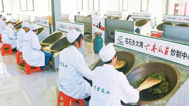 炉桥化妆品厂地址(炉桥化妆品厂地址电话)