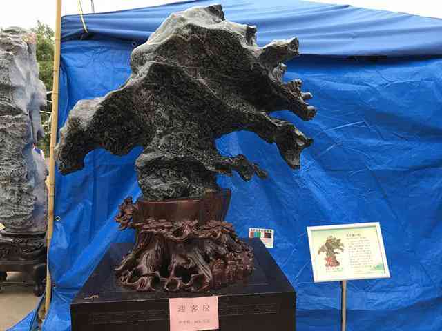 灵璧石价格一般是多少啊(灵璧石市场价格)