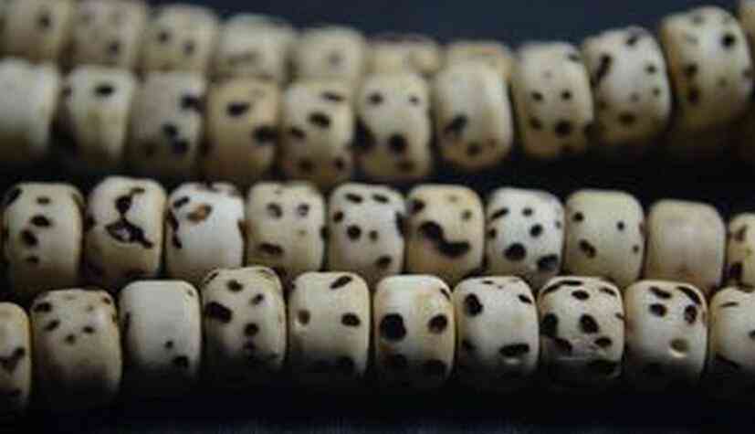 千眼菩提适合什么人戴(千眼菩提适合什么人戴)