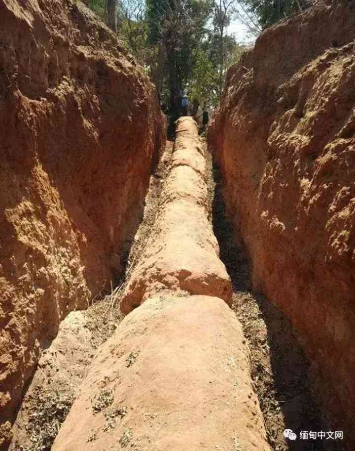 木化石值钱吗(玉化木化石值钱吗)