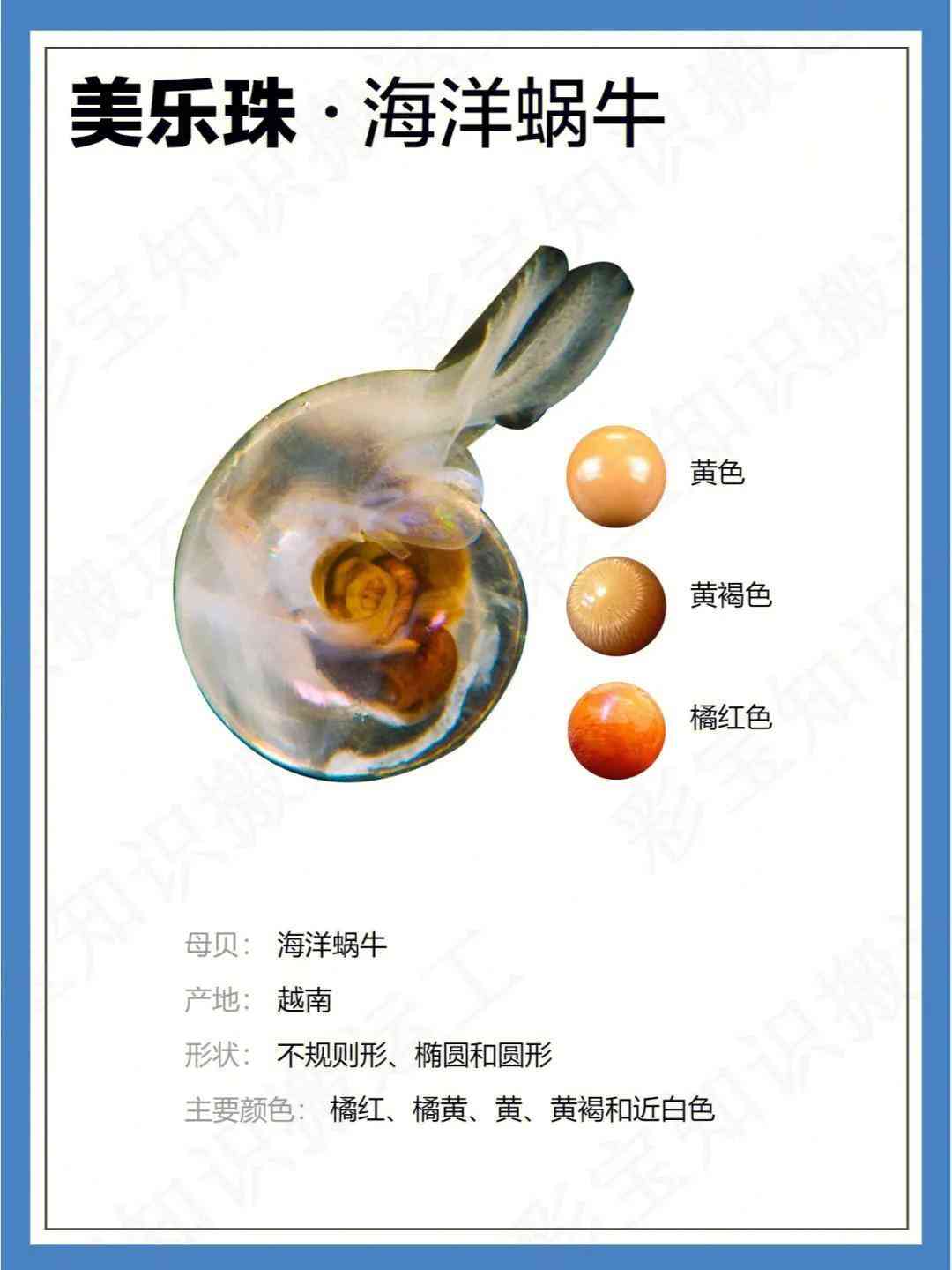 大溪地黑珍珠10mm价格(大溪地黑珍珠价格9.5-10)