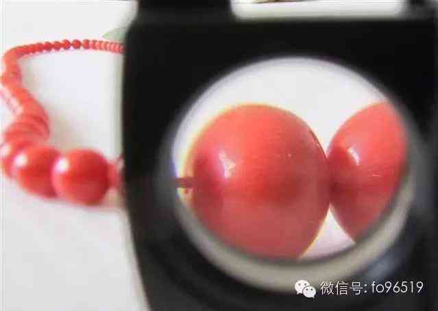 灯光下真假红珊瑚(红珊瑚灯光下有纹路)