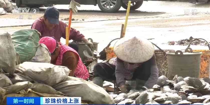 珍珠多少钱一斤(珍珠多少钱一袋)