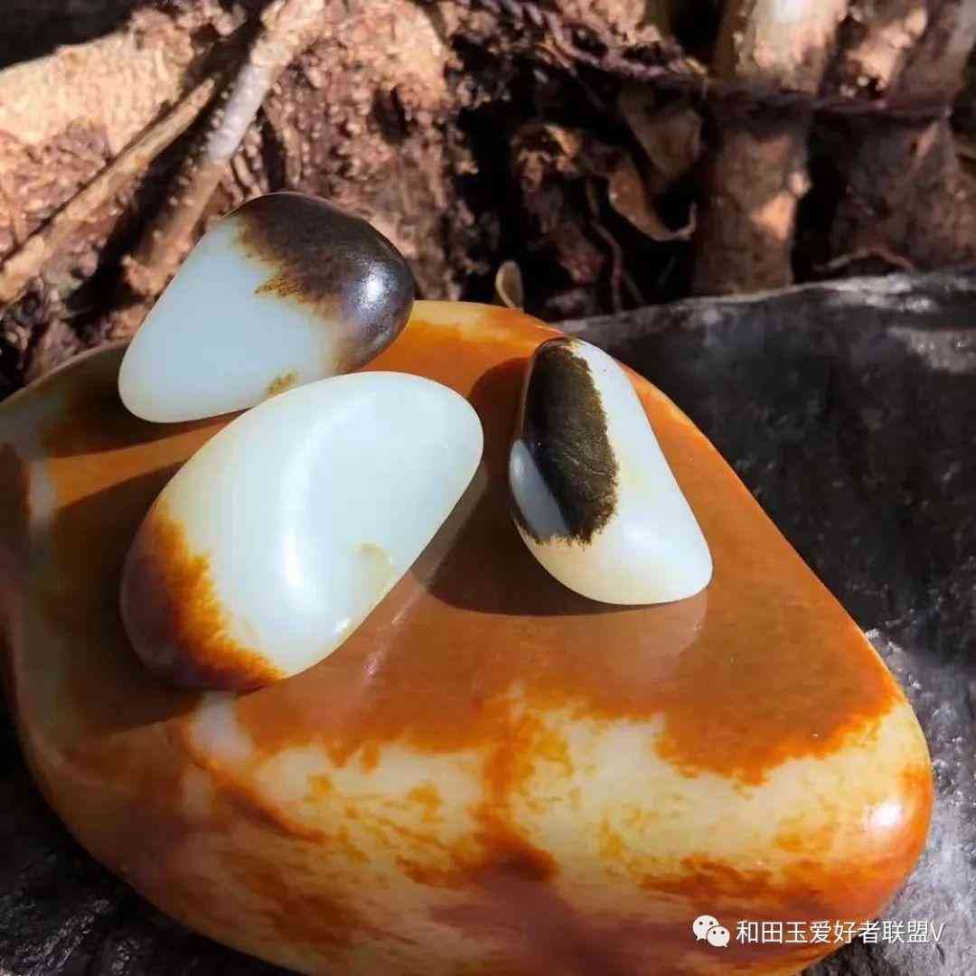 和田玉分几种哪种最好(最好的和田玉是哪种)