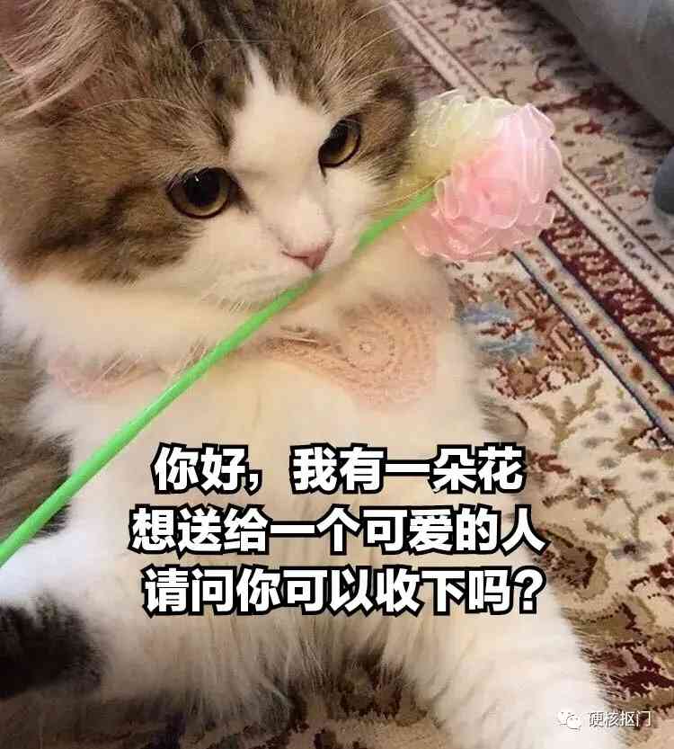 七夕送男朋友什么礼物比较好(七夕送男朋友什么礼物比较好实用)