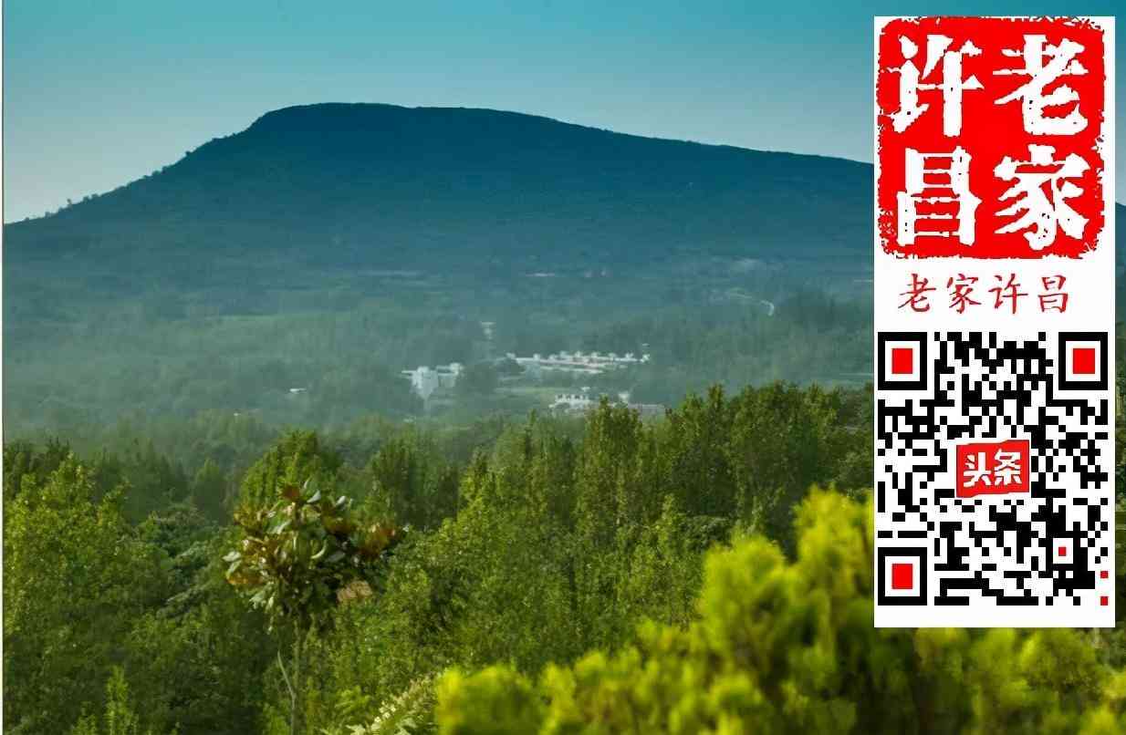 白水晶石价格(白水晶石价格多少一克)