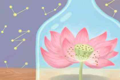 女人带黄金貔貅的好处(女人佩戴貔貅的寓意黄金)