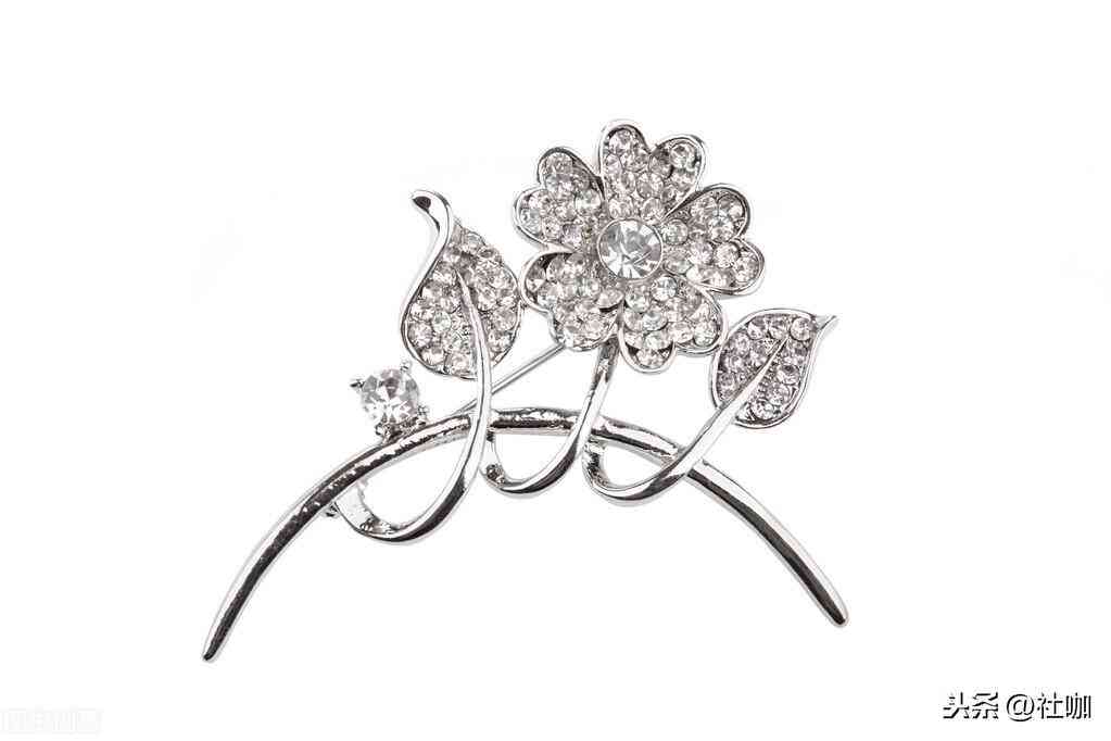 珠宝公司经营范围(珠宝公司经营范围参考)