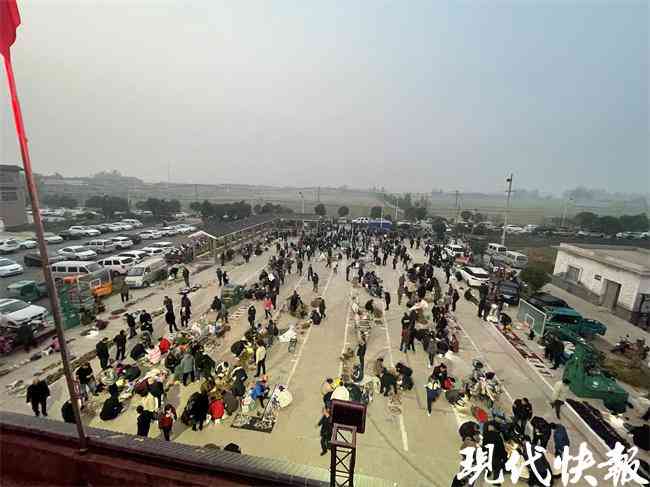 水晶原石的价钱(水晶原石的价格和图像)