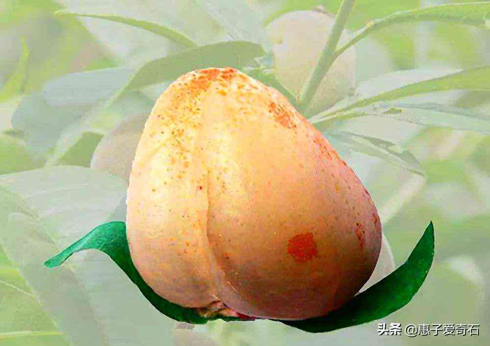 黄蜡石冰种原石价格(黄蜡石冰种原石图片)插图25