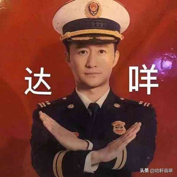 翡翠紫罗兰值钱吗(翡翠紫罗兰值钱吗值得买吗)插图2 翡翠紫罗兰值钱吗(翡翠紫罗兰值钱吗值得买吗)插图2