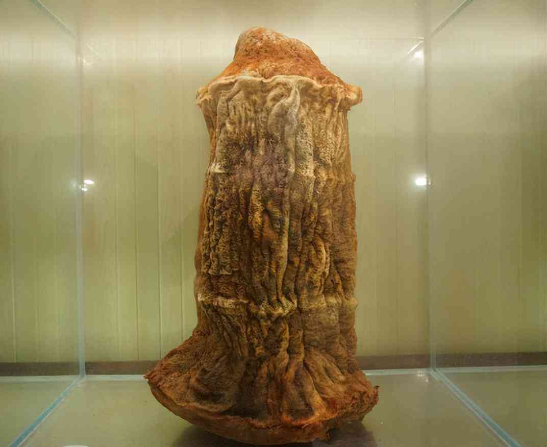 那种黑色石头值钱(那种黑色石头值钱大全)插图6