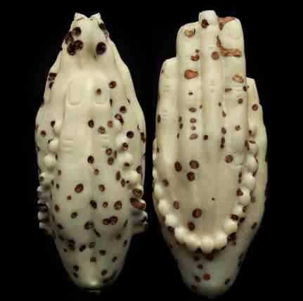 菩提子手串有什么好处(怎么鉴定菩提根手串真假)插图12