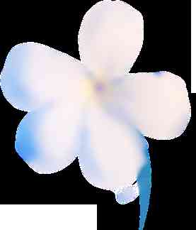 不同颜色水晶的寓意及功效(22种水晶的功效与禁忌)插图2