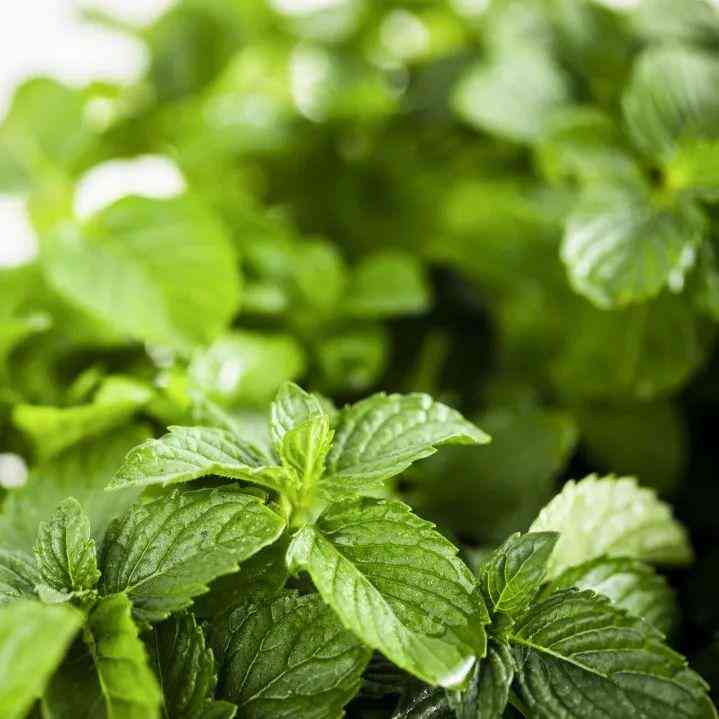 不同颜色水晶的寓意及功效(22种水晶的功效与禁忌)插图11