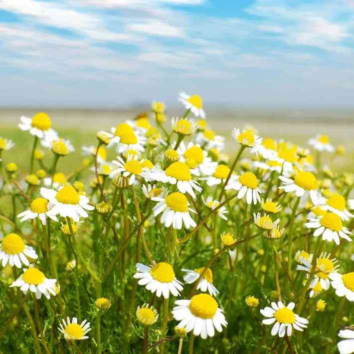 不同颜色水晶的寓意及功效(22种水晶的功效与禁忌)插图15