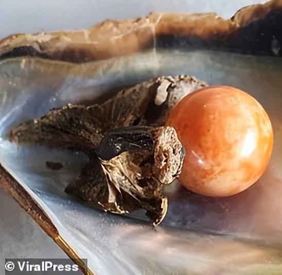 珍珠的价格多少钱一粒(真正的珍珠项链多少钱)插图4