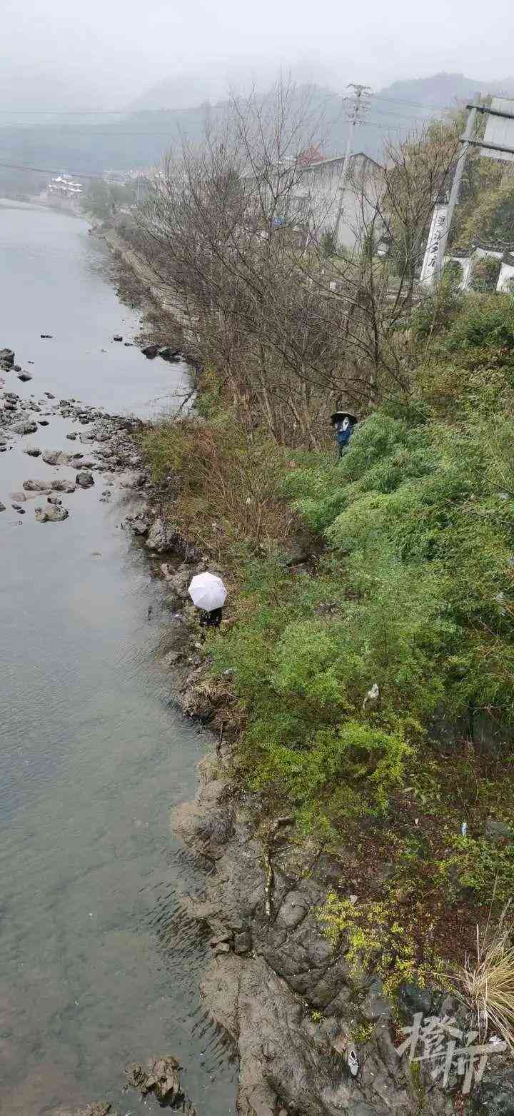 石陨石价格多少钱一克(石陨石现在市场价)插图4