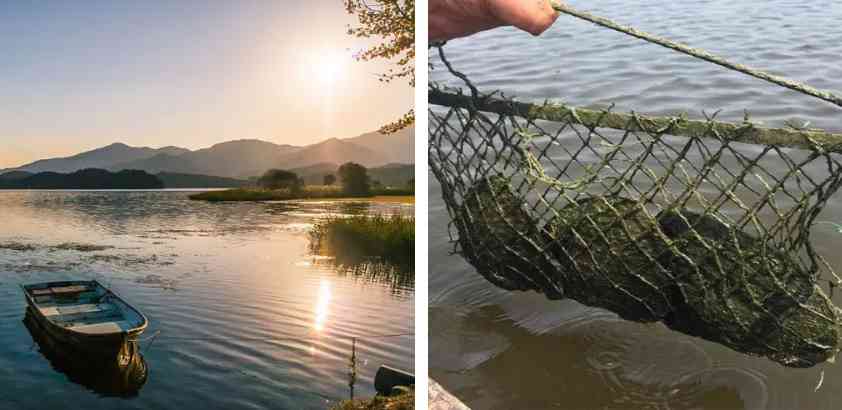 淡水珍珠不值钱吗(戴海水珍珠好还是淡水珍珠好)插图10