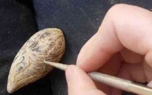 千眼菩提的危害(菩提子不能乱戴)插图5 千眼菩提的危害(菩提子不能乱戴)插图5