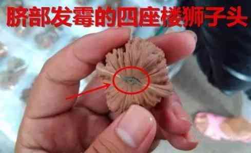 千眼菩提的危害(菩提子不能乱戴)插图11 千眼菩提的危害(菩提子不能乱戴)插图11