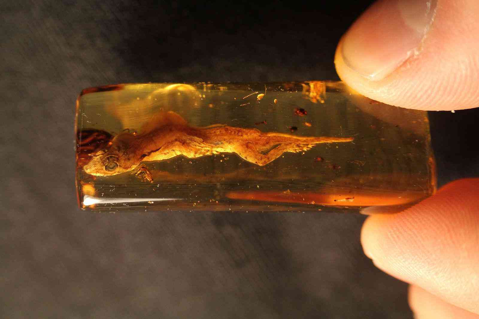 琥珀虫珀价格表(虫琥珀的价钱)