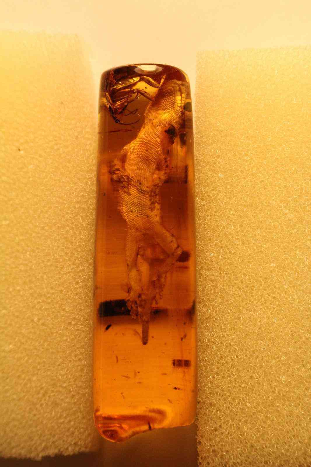 琥珀虫珀价格表(虫琥珀的价钱)插图4