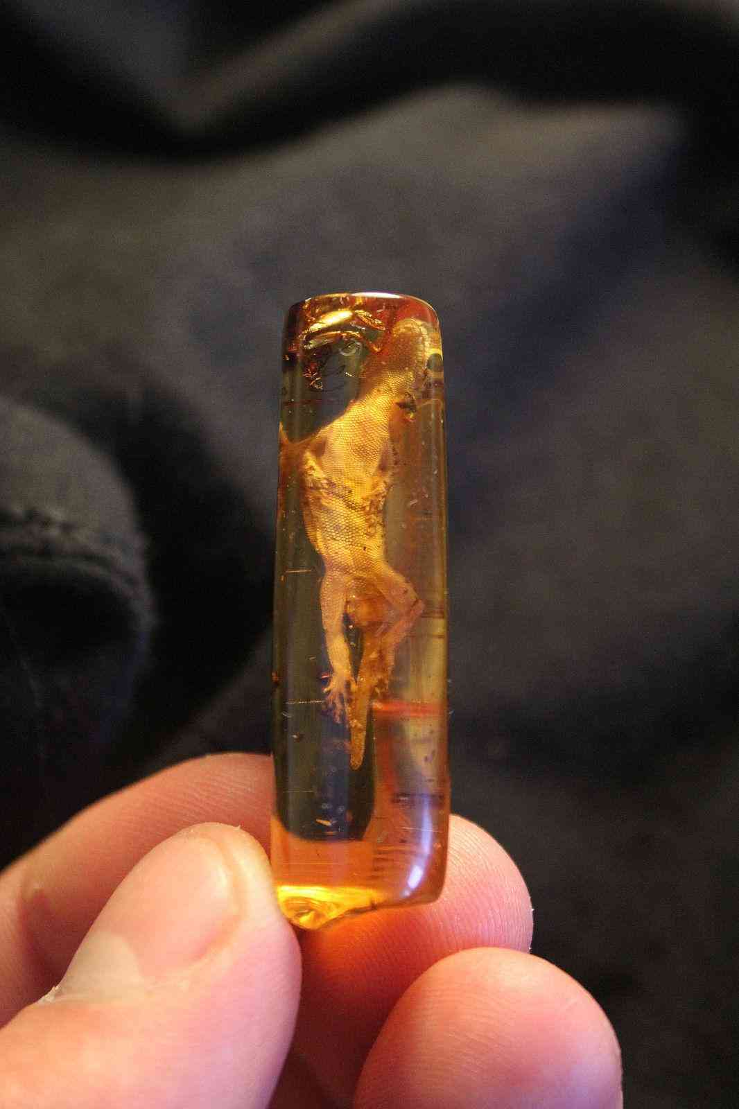 琥珀虫珀价格表(虫琥珀的价钱)插图5