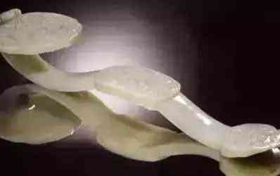 玉牌佩戴的禁忌(五大生肖不适合戴玉)插图3