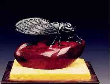 彩虎眼石的功效与作用(彩虎眼石价格一般多少钱)插图43