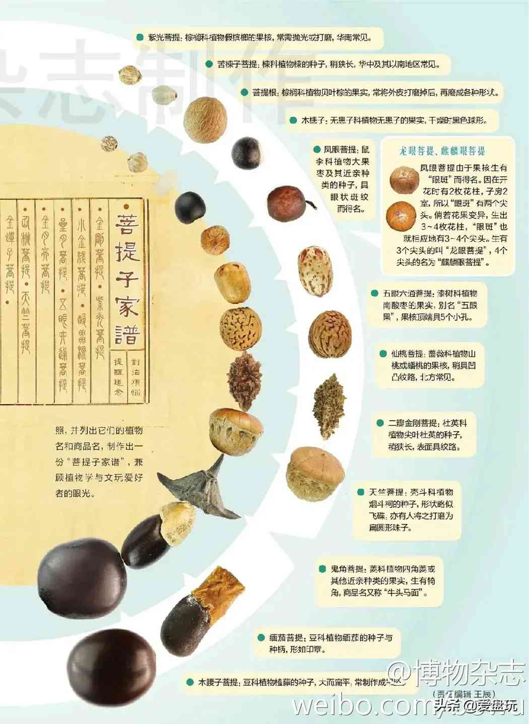 菩提手串种类(金刚菩提手串多少颗好)插图1