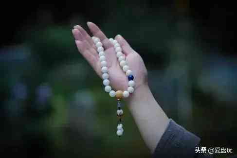 菩提手串种类(金刚菩提手串多少颗好)插图13