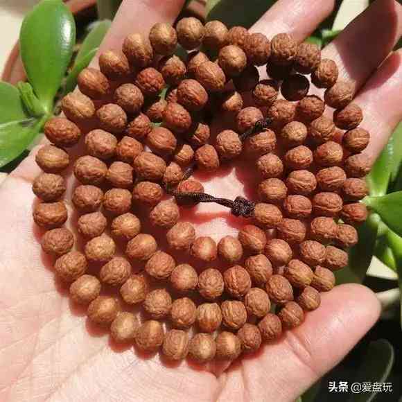 菩提手串种类(金刚菩提手串多少颗好)插图18