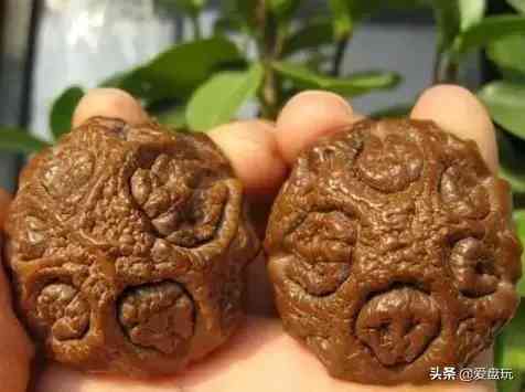 菩提手串种类(金刚菩提手串多少颗好)插图29