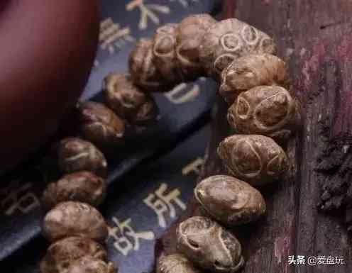 菩提手串种类(金刚菩提手串多少颗好)插图31