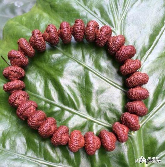 菩提手串种类(金刚菩提手串多少颗好)插图67