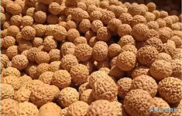 菩提手串种类(金刚菩提手串多少颗好)插图70