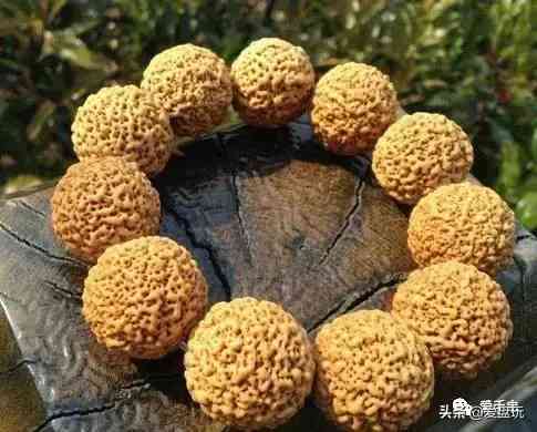 菩提手串种类(金刚菩提手串多少颗好)插图71