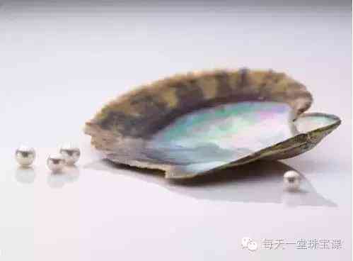 几百块钱的大溪地珍珠(大溪地珍珠14mm的价钱)插图2