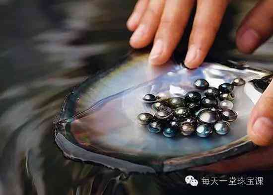 几百块钱的大溪地珍珠(大溪地珍珠14mm的价钱)插图10