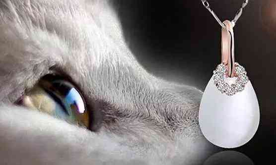 白猫眼石贵吗(猫眼石怎么看真假辨别)插图3