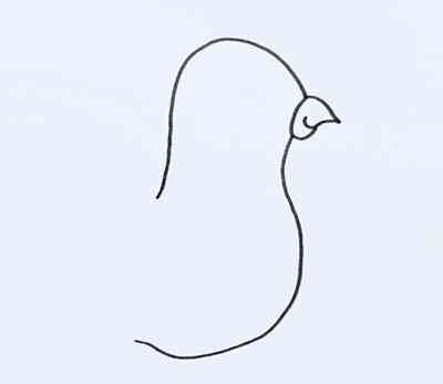 鸽子简笔画(鸽子简笔画涂色)