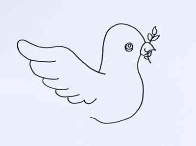 鸽子简笔画(鸽子简笔画涂色)插图1 鸽子简笔画(鸽子简笔画涂色)插图1