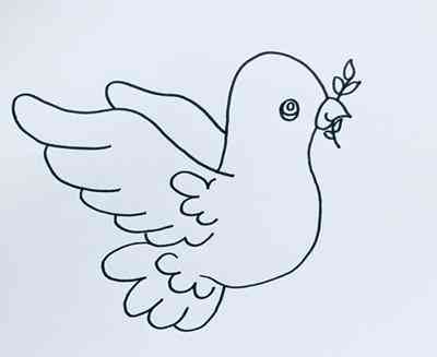 鸽子简笔画(鸽子简笔画涂色)插图2 鸽子简笔画(鸽子简笔画涂色)插图2