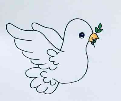 鸽子简笔画(鸽子简笔画涂色)插图3 鸽子简笔画(鸽子简笔画涂色)插图3